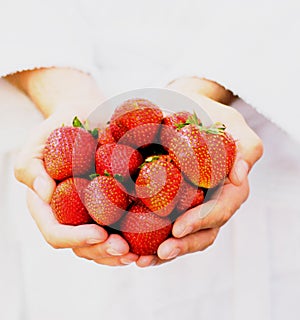 Handful of Strawberries photo