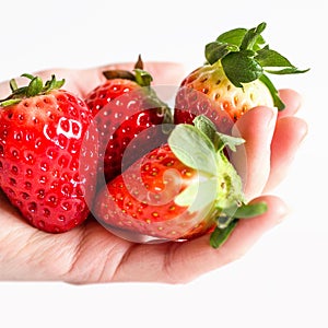 Handful of strawberries photo