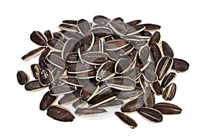 Handful of sunflower seeds, on white.