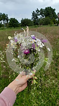 Handful of wild flowers in a field