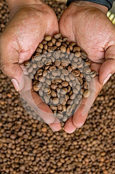 Roasted green bean coffee