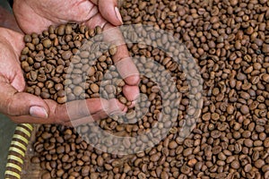 Roasted green bean coffee