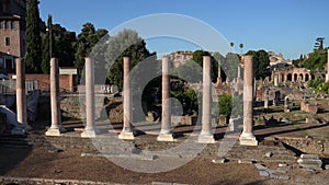 Handheld shot of ancient Roman temple ruin - Temple of Peace on sunny day. Historical open-air museum Tempio della Pace