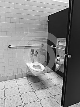 Handicap accessible bathroom stall with toilet