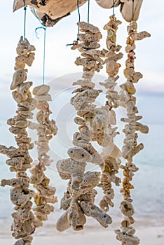 Handicraft made of sea corals and shells