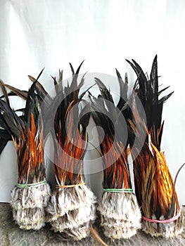 handicrafts from rooster feathers