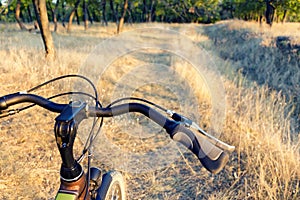 Handlebar of the bicycle on the off-road, dry autumn grass and forest