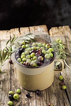 Arbequina olives from Spain photo
