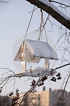 handmade bird feeder hanging