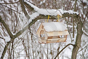 handmade bird feeder hanging