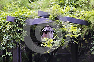 Handmade bird shelter in a pavilion 