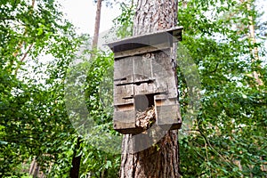 Handmade birdtable in a wood