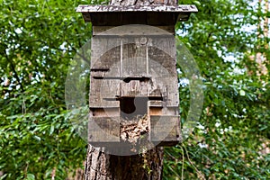 Handmade birdtable in a wood