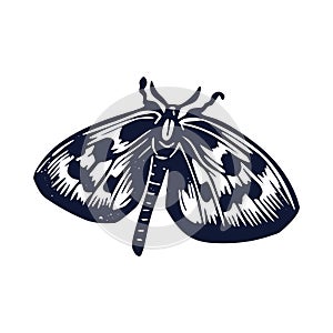 Handmade blockprint butterfly vector motif clipart in folkart scandi style. Simple monochrome linocut lepidoptera shapes