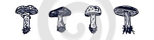 Handmade blockprint mushroom motif clipart set in folkart scandi style. Simple monochrome linocut fungi shapes with