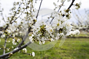 Handmade bookmark isolated on yellow background