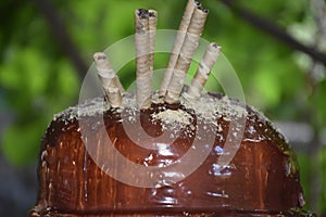 Handmade chocolate cake with nature background