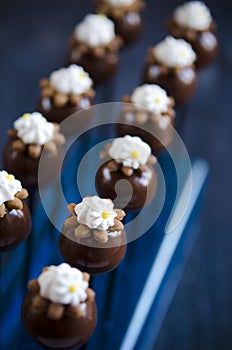 Handmade chocolates with chestnut