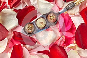 Handmade chocolates on vintage silver spoon amidst rose petals