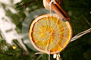 Handmade decor of dry orange slice and cinnamon stick on Christmas tree, closeup