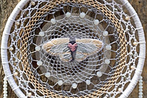 Handmade dream catcher with feathers threads and beads rope hanging