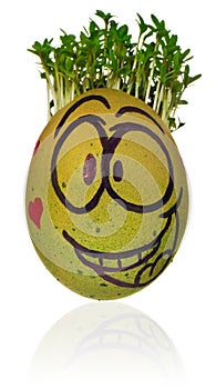 Handmade Easter egg painted in a funny smiley guy face and colo