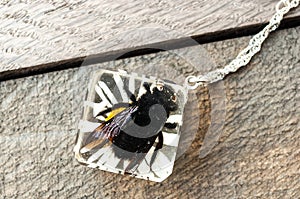 Handmade epoxy resin jewelry. Xylocopa iris in glass, pendant