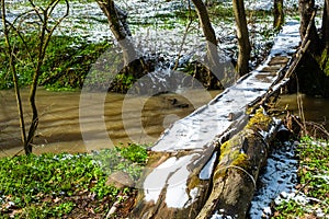 Handmade footbridge over the river. Spring stream in the forest after the snowfall. Springtime in the woods.