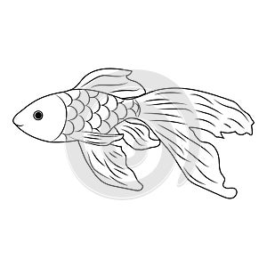 Handmade goldfish in doodl style. Vector illustration.