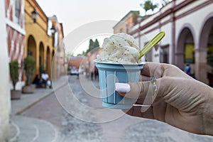 handmade ice cream Mexico guamuchil y biznaga Queretaro photo