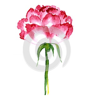 Handmade illustration