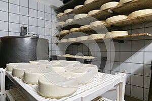 Handmade italian cheese production in mountain farm photo