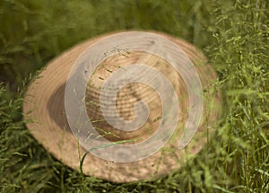 Handmade knitted hat  lying in the meadow photo