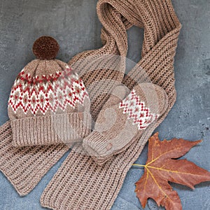 Handmade knitted hat mittens and a scarf isolated