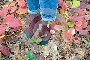 Handmade knitted socks