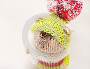 Handmade knitted toy. Knitted bear close-up in color sweater and green cap with color pompom on white background