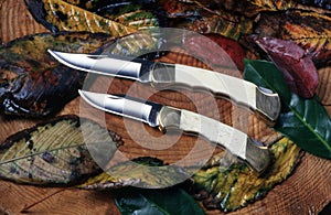 Handmade knives in autumn leaves and a wooden log