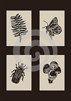 Handmade linocut bug, mushroom motif vector clipart in folkart scandi style. Set of simple monochrome block print