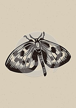 Handmade linocut butterfly motif clipart in folkart scandi style. Simple monochrome block print insect shapes with