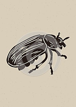 Handmade linocut insect motif vector clipart in folkart scandi style. Simple monochrome block print bug shapes with