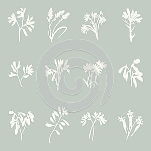 Handmade linocut sprig wildflower collection vector motif clipart in folkart scandi style. Simple monochrome block print