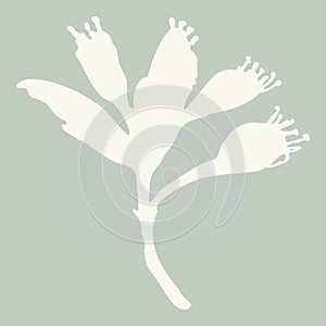 Handmade linocut sprig wildflower vector motif clipart in folkart scandi style. Simple monochrome block print shapes photo