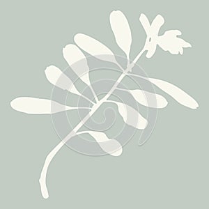Handmade linocut sprig wildflower vector motif clipart in folkart scandi style. Simple monochrome block print shapes photo
