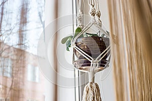 Handmade macrame for flowers in the interior of the concept