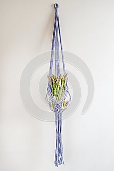 Handmade macrame ornamental flowerpot on white background