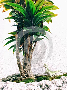 plant decorative miniatures dinasour land