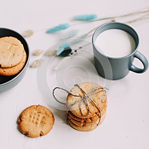 Handmade oatmeal cookies with glass of milk. Traditional freshly baked cookies. Junk-food, culinary, baking and eating concept.