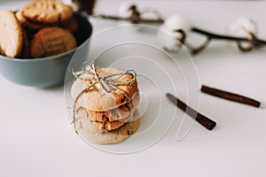 Handmade oatmeal cookies with glass of milk. Traditional freshly baked cookies. Junk-food, culinary, baking and eating concept.