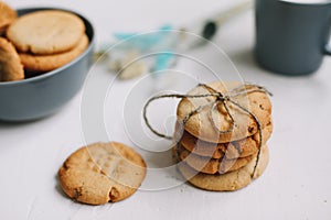 Handmade oatmeal cookies with glass of milk. Traditional freshly baked cookies. Junk-food, culinary, baking and eating concept.