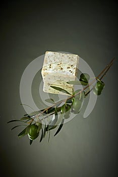 Handmade olive soap with olive branch.